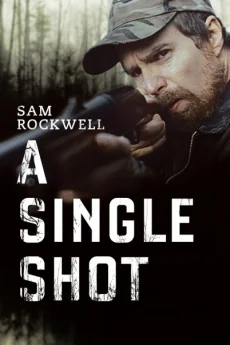 A Single Shot (2013)