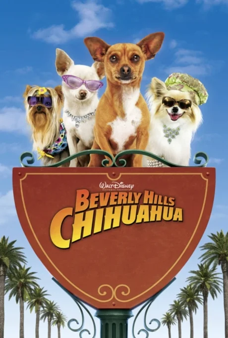 Beverly Hills Chihuahua 1 1 (2008)