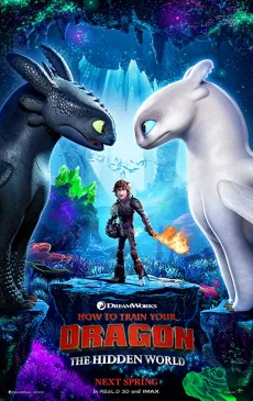 How to Train Your Dragon 3: The Hidden World 3 (2019)