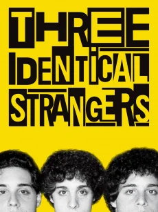 Three Identical Strangers 3 (2018)