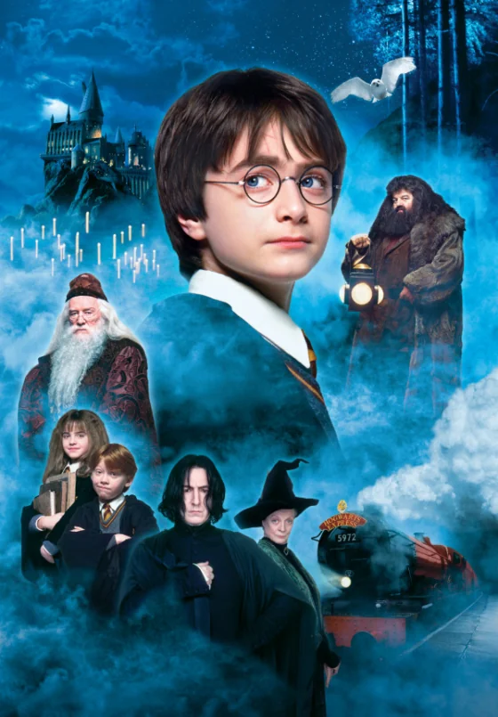Harry Potter and the Sorcerer’s Stone 1 1 (2001)