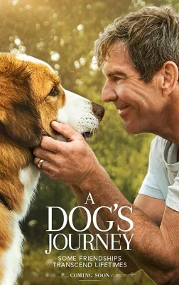 A Dogs Journey 2 2 (2019)