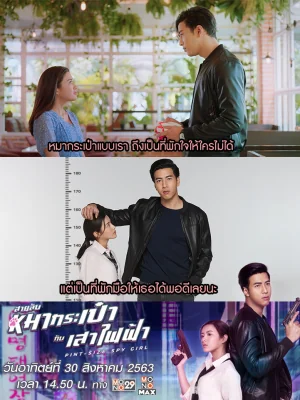 สายลับหมากระเป๋ากับเสาไฟฟ้า 2020