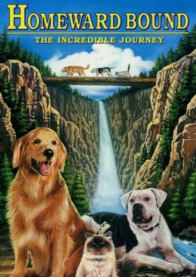 Homeward Bound 1: The Incredible Journey 2 1 (1993)