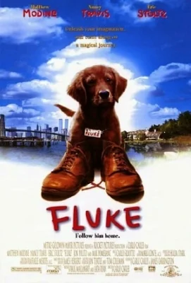 Fluke (1995)