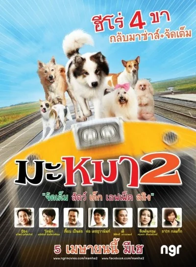 มะหมาขาครับภาค 2011