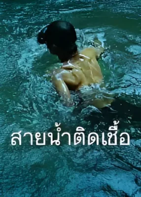 สายน้ำติดเชื้อ‬ 2013