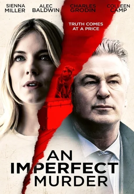 An Imperfect Murder ( The Private Life Of A Modern Woman Constance ) (2017)