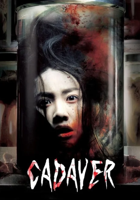 ปริศนาซากศพ 2007