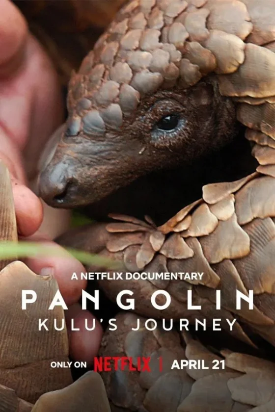 Pangolin: Kulu’s Journey (2025)